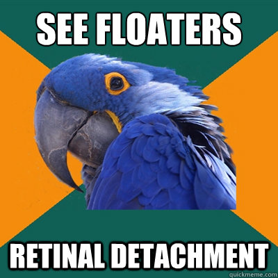 See floaters retinal detachment  Paranoid Parrot