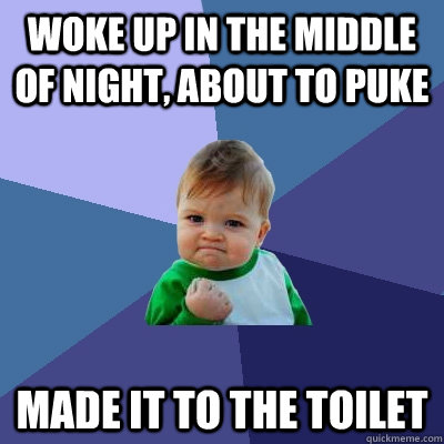 Woke up in the middle of night, about to puke made it to the toilet  Success Kid