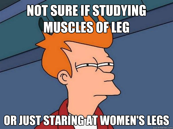 Not sure if studying muscles of leg Or just staring at women's legs - Not sure if studying muscles of leg Or just staring at women's legs  Futurama Fry