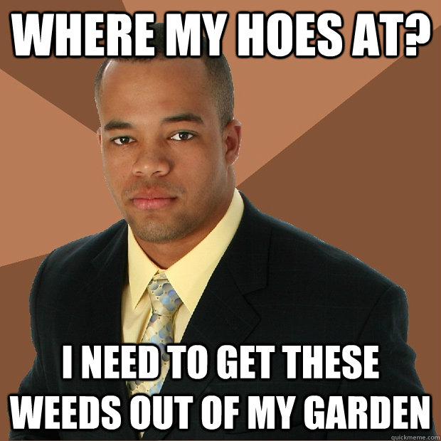 Where my hoes at? I need to get these weeds out of my garden  Successful Black Man