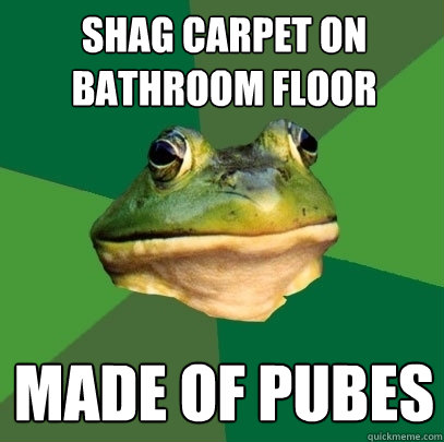 Shag carpet on bathroom floor made of pubes - Shag carpet on bathroom floor made of pubes  Foul Bachelor Frog