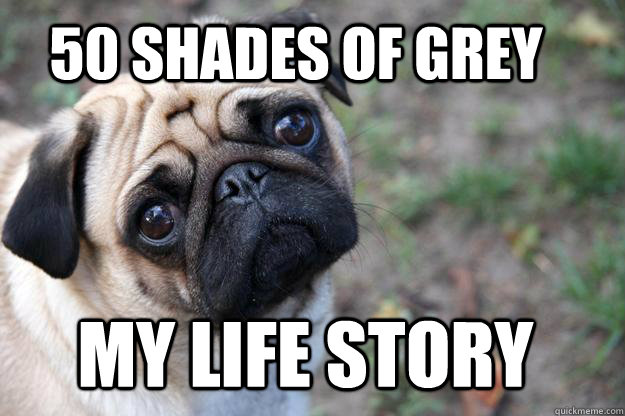 50 ShadEs of Grey My life story  First World Dog problems