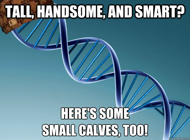 Tall, handsome, and smart? Here's some 
small calves, too! - Tall, handsome, and smart? Here's some 
small calves, too!  Scumbag Genetics