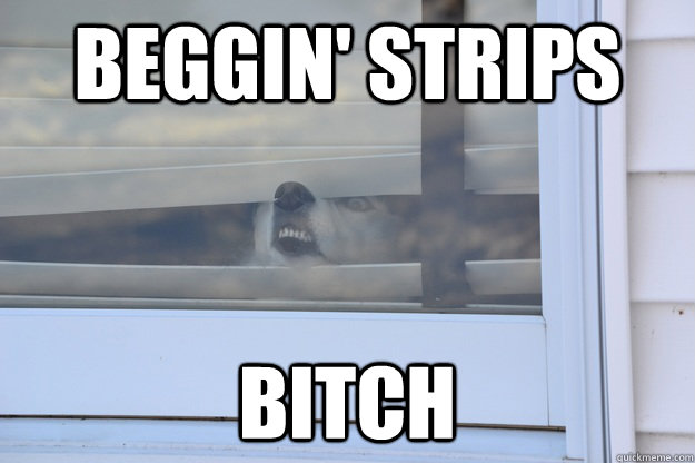 beggin' strips bitch - beggin' strips bitch  Misc