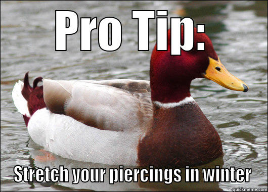 PRO TIP: STRETCH YOUR PIERCINGS IN WINTER Malicious Advice Mallard