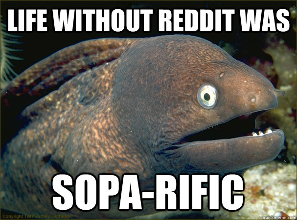 Life without reddit was SOPA-rific  Bad Joke Eel