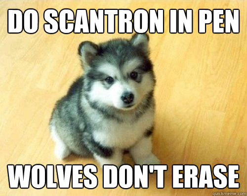 do scantron in pen wolves don't erase   Baby Courage Wolf