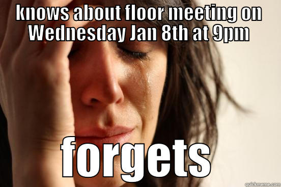 KNOWS ABOUT FLOOR MEETING ON WEDNESDAY JAN 8TH AT 9PM FORGETS First World Problems