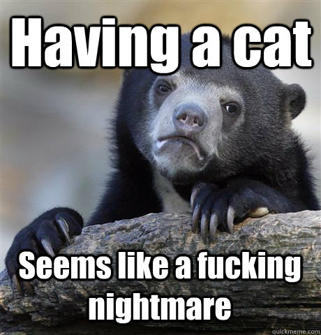 Having a cat Seems like a fucking nightmare  Confession Bear