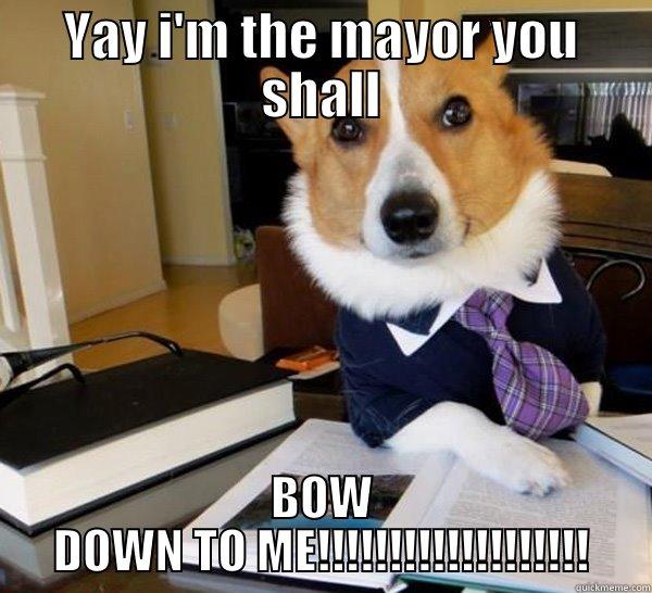 the dog mayor - YAY I'M THE MAYOR YOU SHALL BOW DOWN TO ME!!!!!!!!!!!!!!!!!!! Lawyer Dog