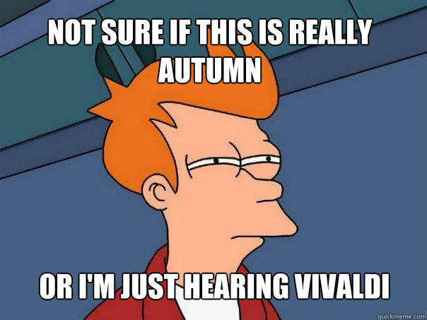 Not sure if this is really autumn or i'm just hearing vivaldi - Not sure if this is really autumn or i'm just hearing vivaldi  Futurama Fry