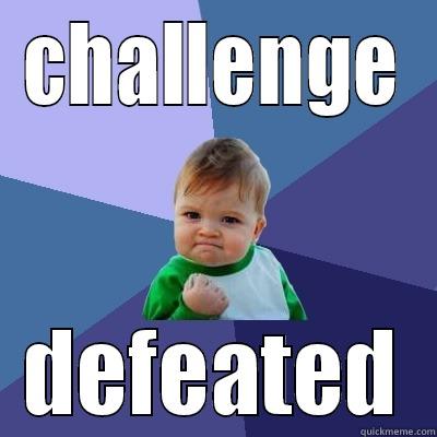 CHALLENGE DEFEATED Success Kid