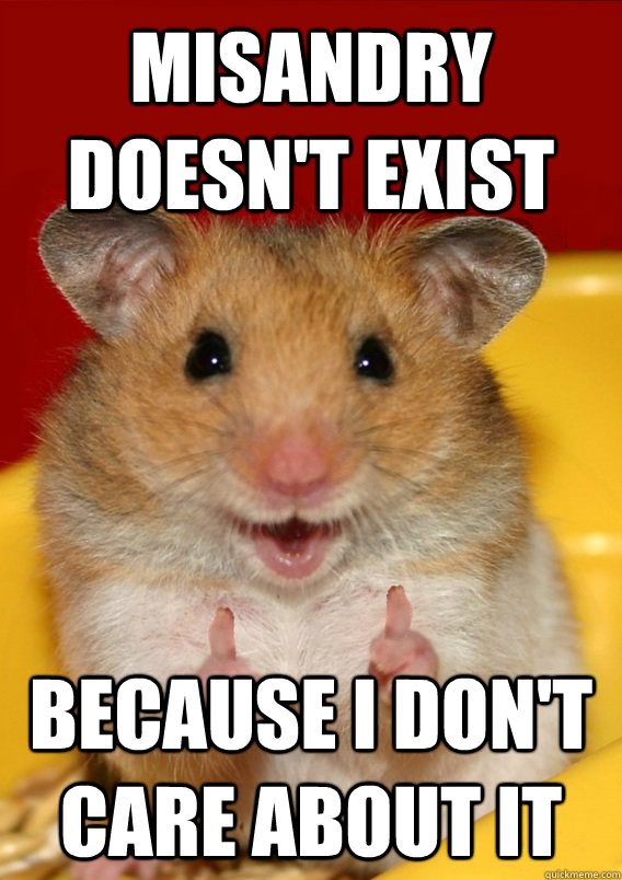 misandry doesn't exist because i don't care about it   Rationalization Hamster