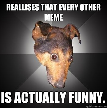 reallises that every other meme is actually funny.  Depression Dog