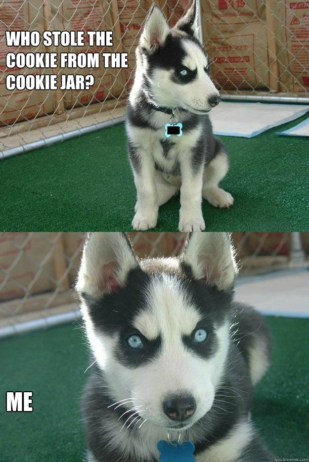 who stole the 
cookie from the
cookie jar? me - who stole the 
cookie from the
cookie jar? me  Insanity puppy