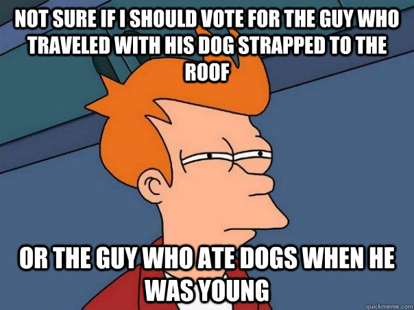 not sure if I should vote for the guy who traveled with his dog strapped to the roof or the guy who ate dogs when he was young - not sure if I should vote for the guy who traveled with his dog strapped to the roof or the guy who ate dogs when he was young  Futurama Fry