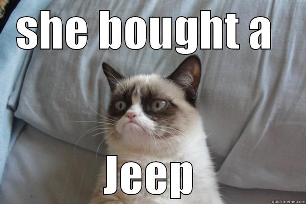 SHE BOUGHT A  JEEP Grumpy Cat