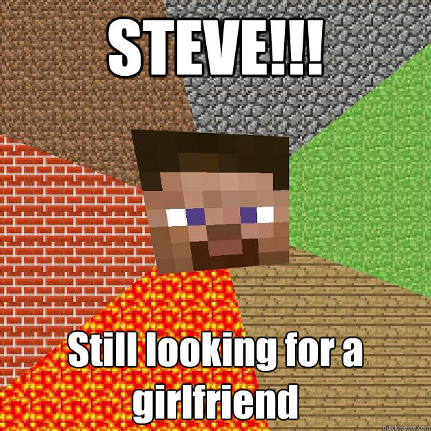 STEVE!!! Still looking for a girlfriend - STEVE!!! Still looking for a girlfriend  Minecraft