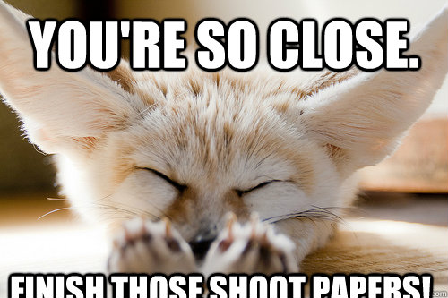 YOU'RE SO CLOSE. FINISH THOSE SHOOT PAPERS!  Sleepy Fennec Fox