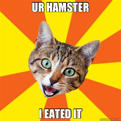 UR HAMSTER I EATED IT  Bad Advice Cat