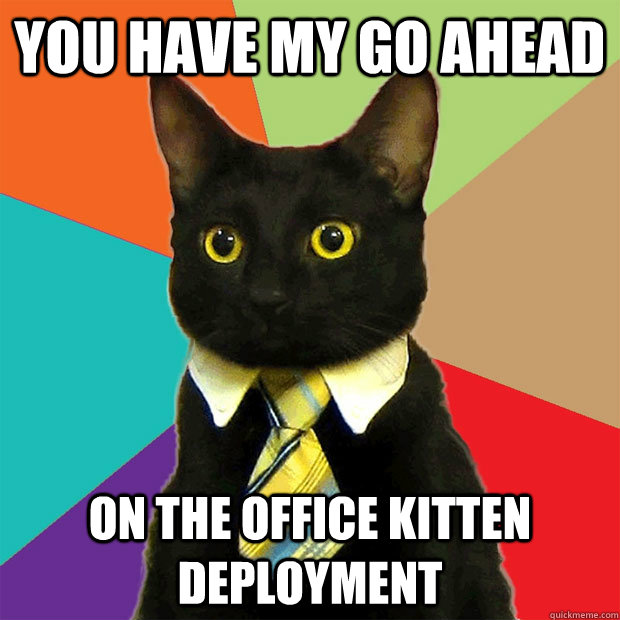 You have my go AHEAD on the Office Kitten Deployment  Business Cat