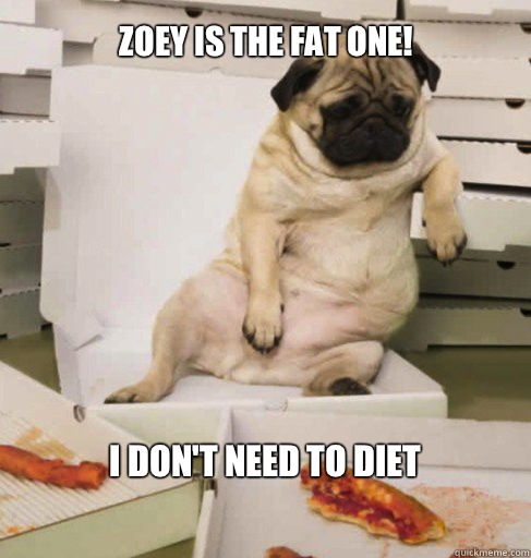 I don't need to diet Zoey is the fat one!  