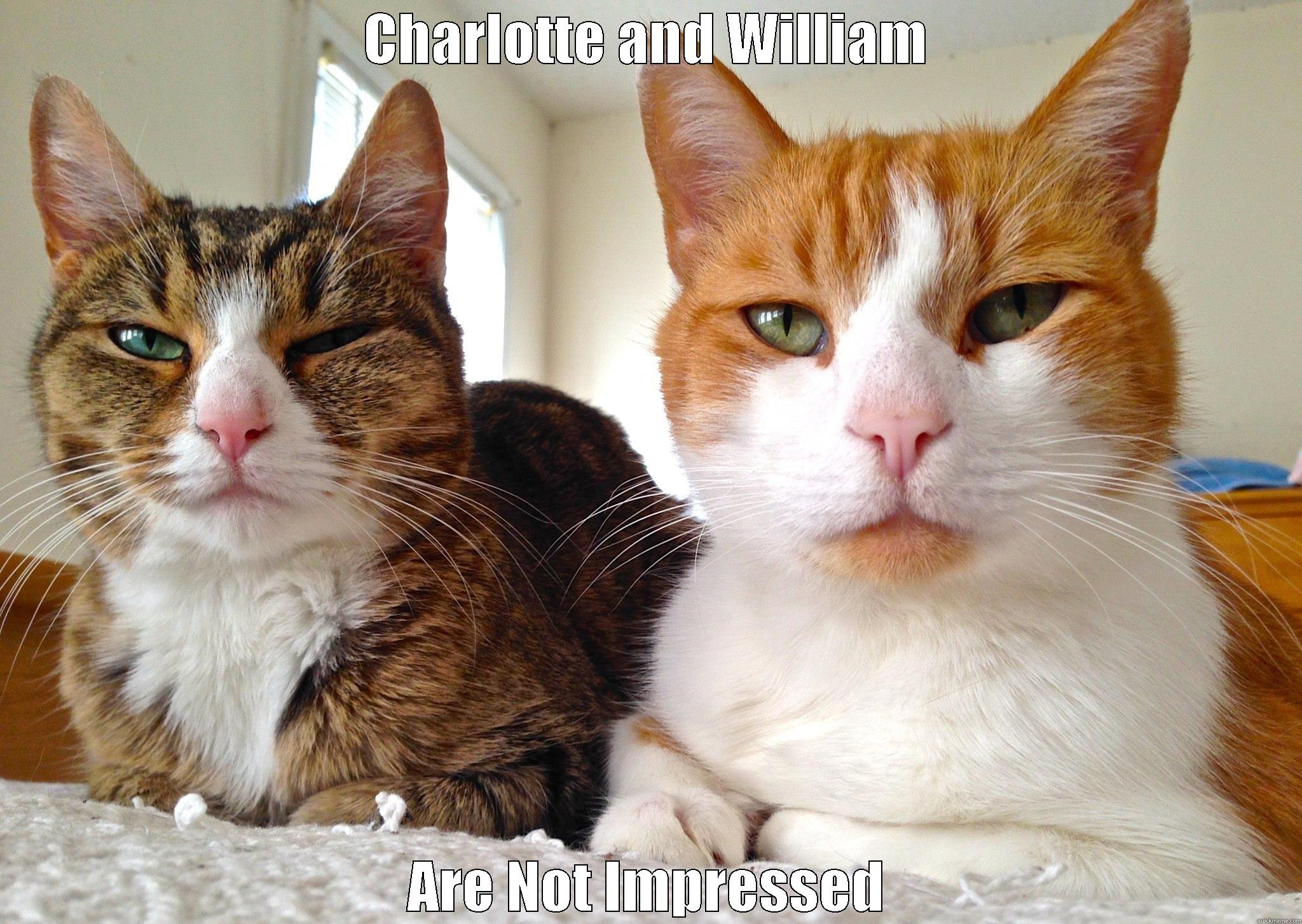 CHARLOTTE AND WILLIAM ARE NOT IMPRESSED Misc