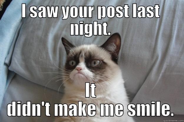 I SAW YOUR POST LAST NIGHT. IT DIDN'T MAKE ME SMILE. Grumpy Cat