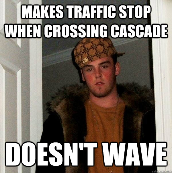 Makes traffic stop when crossing cascade Doesn't wave  Scumbag Steve