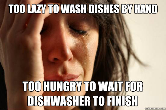 TOO LAZY TO WASH DISHES BY HAND TOO HUNGRY TO WAIT FOR DISHWASHER TO FINISH Caption 3 goes here  First World Problems