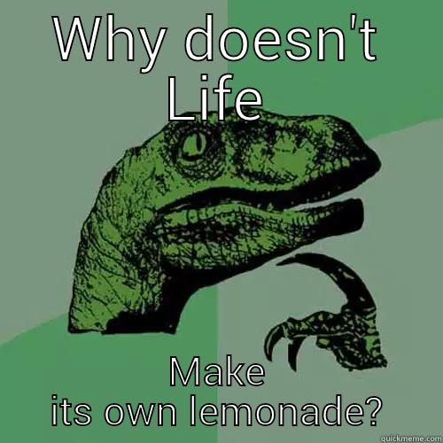 WHY DOESN'T LIFE MAKE ITS OWN LEMONADE? Philosoraptor