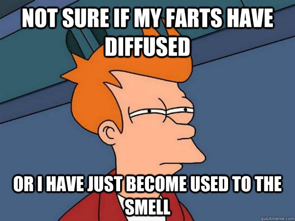 Not sure if my farts have diffused Or I have just become used to the smell  Futurama Fry