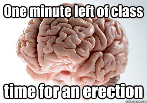 One minute left of class time for an erection 
  Scumbag Brain