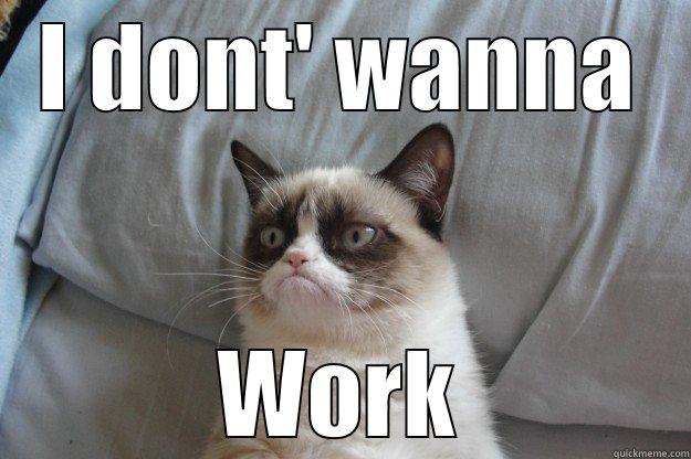 I DONT' WANNA WORK Grumpy Cat