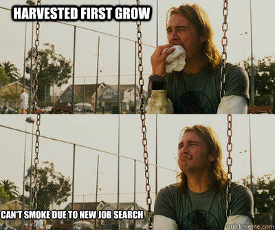 Harvested first grow can't smoke due to new job search  First World Stoner Problems