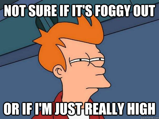 Not sure if it's foggy out Or if I'm just really high  Futurama Fry