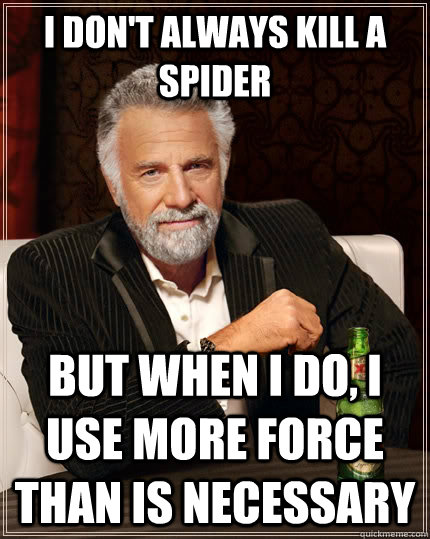 I don't always kill a spider but when I do, i use more force than is necessary   The Most Interesting Man In The World