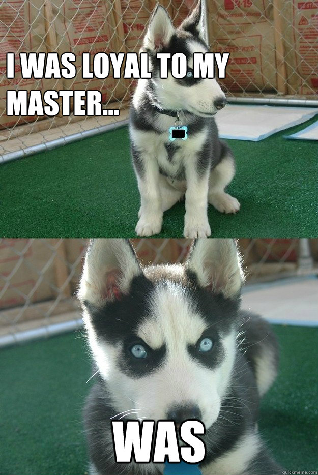 i was loyal to my master... was  Insanity puppy