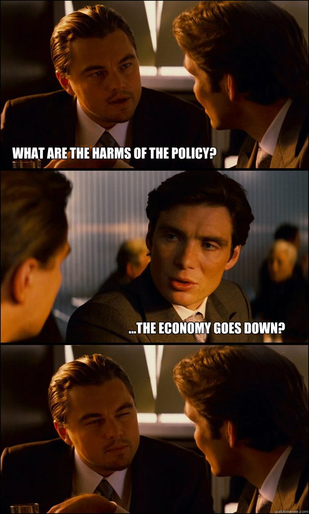 what are the harms of the policy? ...the economy goes down?  - what are the harms of the policy? ...the economy goes down?   Inception