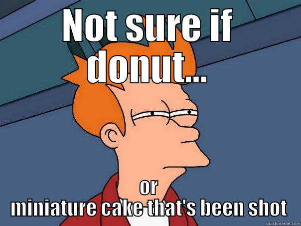 Get The Dunkin Donuts Hospital, Stat! - NOT SURE IF DONUT... OR MINIATURE CAKE THAT'S BEEN SHOT Futurama Fry