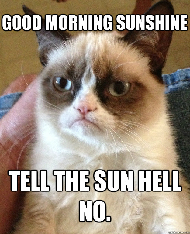 Good morning sunshine Tell the sun hell no.  Grumpy Cat