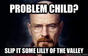 PROBLEM CHILD? SLIP IT SOME LILLY OF THE VALLEY  