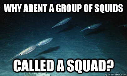 Why arent a group of squids called a squad? - Why arent a group of squids called a squad?  Squid Sguad