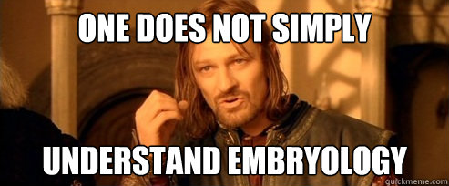 One does not simply understand embryology - One does not simply understand embryology  One Does Not Simply