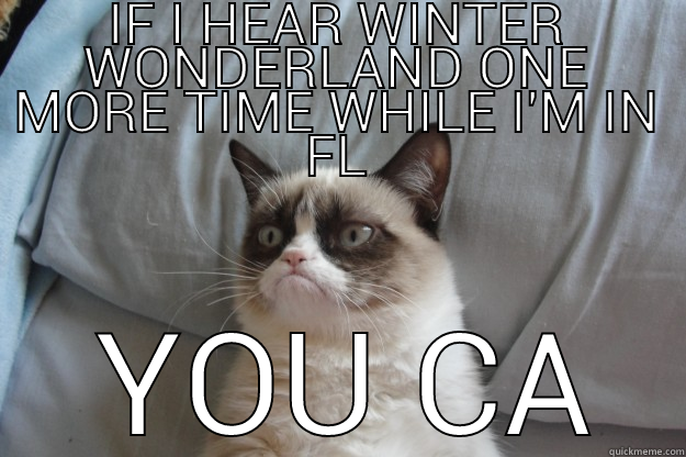 CAT GONE BAT CRAZY - IF I HEAR WINTER WONDERLAND ONE MORE TIME WHILE I'M IN FL  YOU CA Grumpy Cat