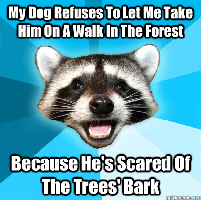 My Dog Refuses To Let Me Take Him On A Walk In The Forest  Because He's Scared Of The Trees' Bark - My Dog Refuses To Let Me Take Him On A Walk In The Forest  Because He's Scared Of The Trees' Bark  Lame Pun Coon