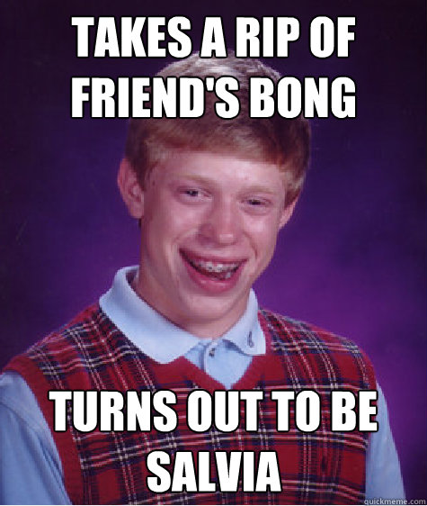 Takes a Rip of Friend's Bong Turns out to be Salvia  Bad Luck Brian