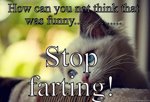 HOW CAN YOU NOT THINK THAT WAS FUNNY................ STOP FARTING! First World Problems Cat