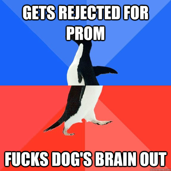 Gets rejected for prom Fucks dog's brain out  Socially Awkward Awesome Penguin