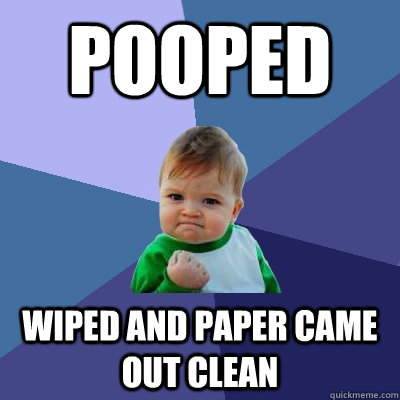 pooped wiped and paper came out clean  Success Kid